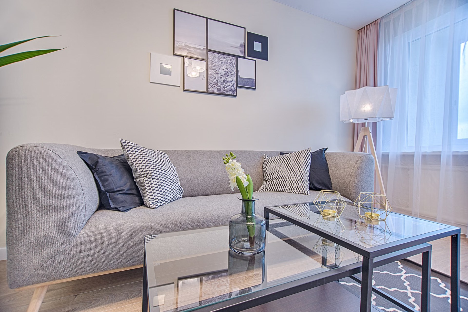 Bright living room with a light sofa, glass coffee tables and plants